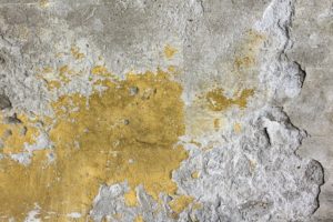 Signs of Water Damage on Ceilings