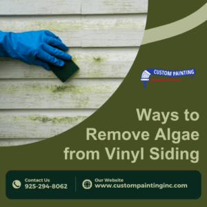 Ways to Remove Algae from Vinyl Siding